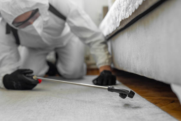 Professional Termite Control technician working in Lampeter, PA